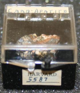 carbonate-apatite