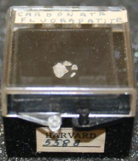 carbonate-fluorapatite