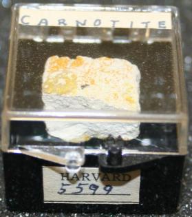 Carnotite