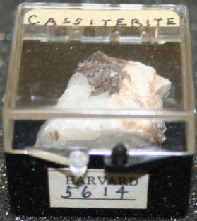 CASSITERITE