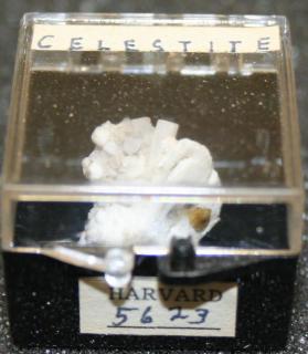 Celestine