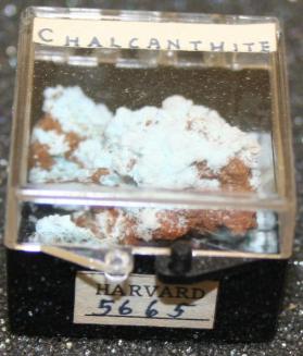 Chalcanthite
