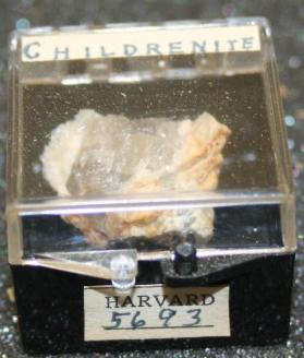 Childrenite