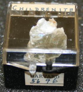 Childrenite