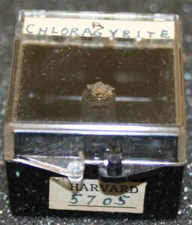 Chlorargyrite