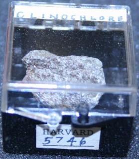 Clinochlore