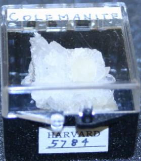 Colemanite