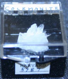Colemanite