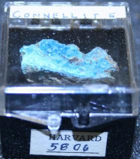 Connellite