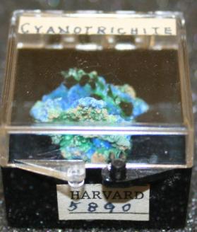 Cyanotrichite