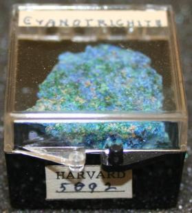 Cyanotrichite
