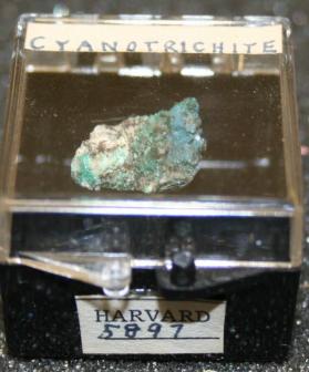 Cyanotrichite