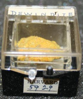 Dewindtite