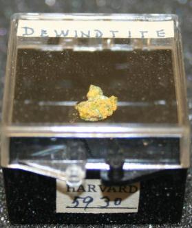 Dewindtite