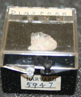 Diaspore