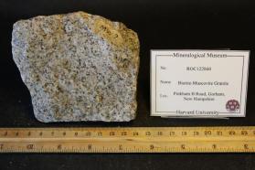 Biotite-muscovite Granite