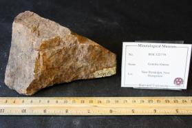 Granitic Gneiss
