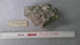 Meionite
