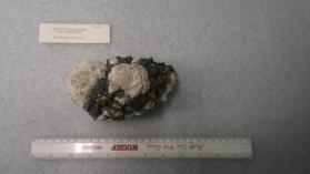CALCITE