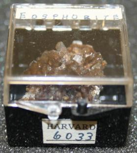 Eosphorite
