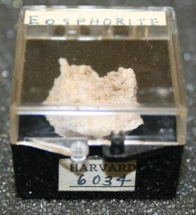 Eosphorite