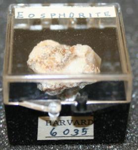Eosphorite