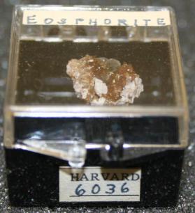 Eosphorite