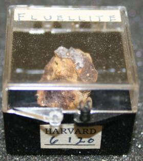 Fluellite