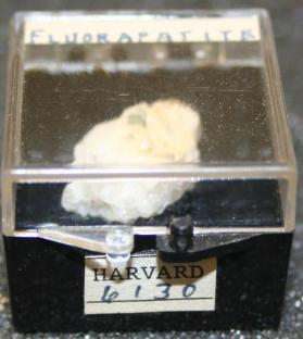 FLUORAPATITE