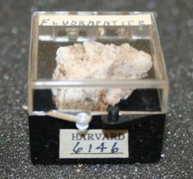 FLUORAPATITE