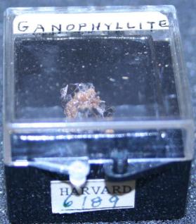Ganophyllite