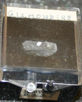 Gismondine