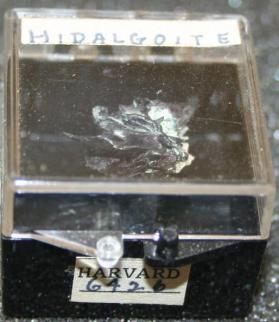 Hidalgoite