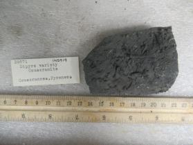 dipyre var. couseranite