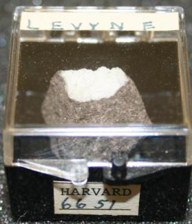 Levyne