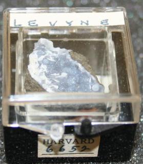 Levyne