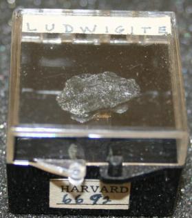 Ludwigite