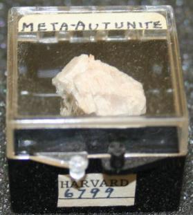 Meta-autunite