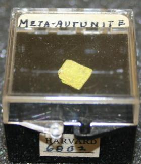 Meta-autunite