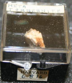 Metatorbernite