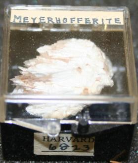 Meyerhofferite