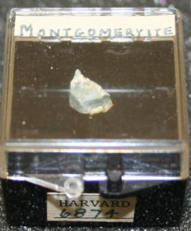 Montgomeryite