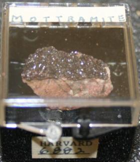 Mottramite