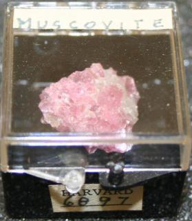 Muscovite