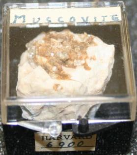 Muscovite