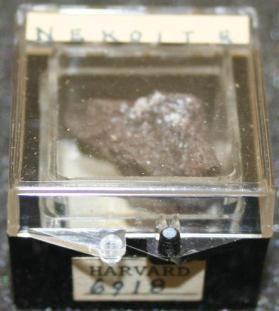 Nekoite