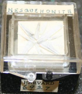 Nesquehonite