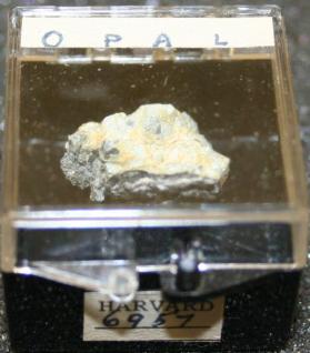 OPAL