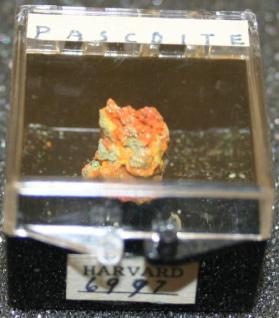 Pascoite