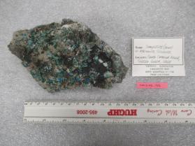 Sampleite